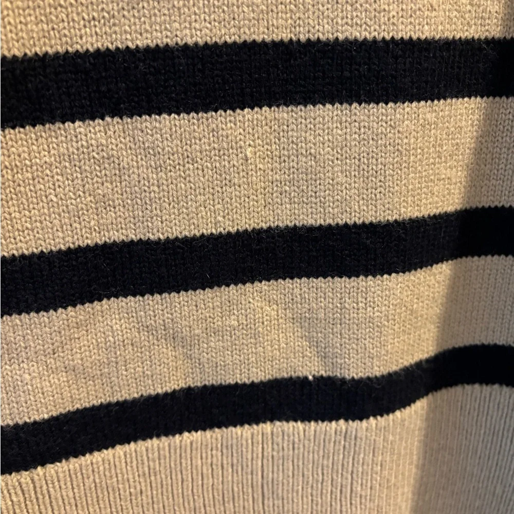 WEWOREWHAT Striped Turtleneck in Oat/Black - Picture 6 of 10